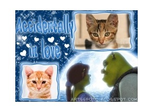 Moldura para duas Fotos - Shrek In Love