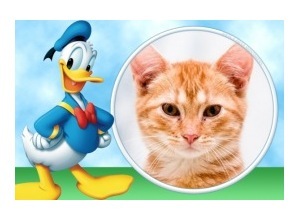 Moldura - Donald Duck