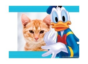 Moldura - Donald Assustado