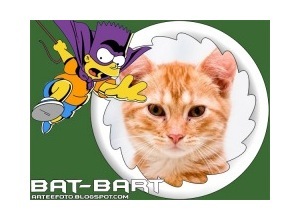 Moldura - Bat Bart