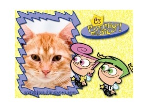 Moldura - Padrinhos Magicos