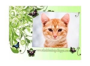 Moldura - Carta De Amor