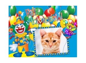 Moldura - Feliz Aniversario Circo