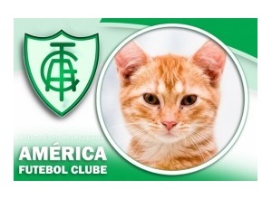 Moldura - America Futebol Clube