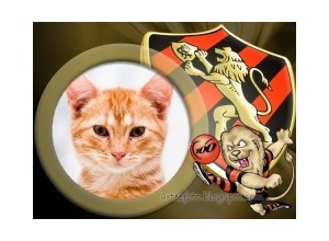 Moldura - Sport Club Recif