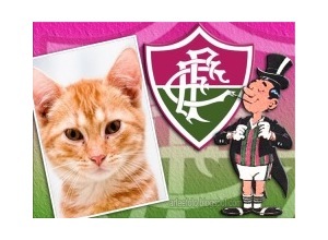 Moldura - Fluminense