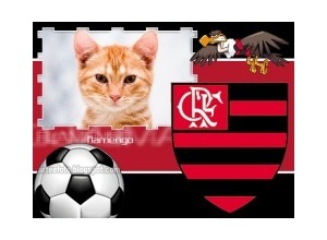 Moldura - Flamengo