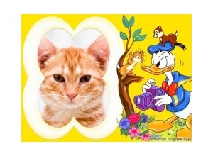 Moldura - Donald E Esquilos