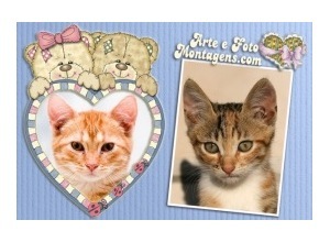 Moldura para duas Fotos - Ursinhos Azuis