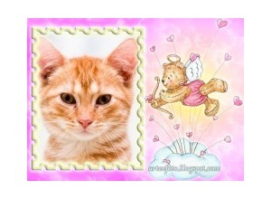 Moldura - Ursinho Cupido