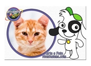 Moldura - Discovery Kids