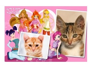 Moldura para duas Fotos - Winx