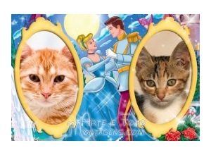Moldura para duas Fotos - Cinderella
