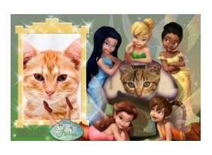 Moldura para duas Fotos - Fairies