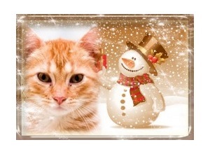 Moldura - Boneco De Neve