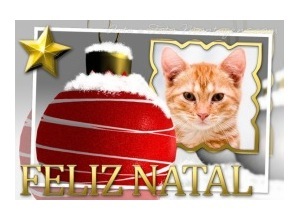 Moldura - Enfeite Natalino