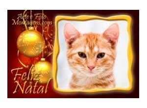 Moldura - Um Feliz Natal