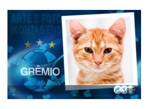 Moldura - Gremio Futebol Clube