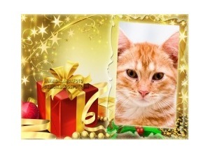 Moldura - Presente Natalino