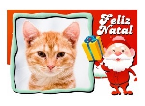 Moldura - Papai Noelzinho