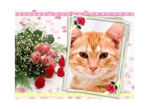 Moldura - Bouquet De Rosas