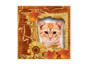 Moldura - Girassol Envelhecido