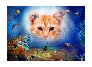 Moldura - Fundo Do Mar