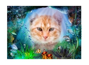 Moldura - Fundo Do Oceano