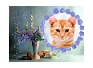 Moldura - Lindo Vaso