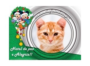 Moldura - Natal De Paz