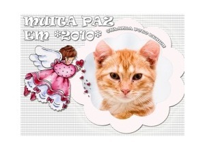 Moldura - Muita Paz Em 2010