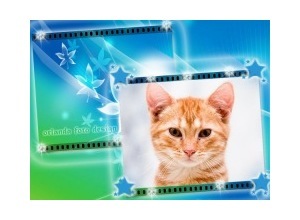 Moldura - Filme Fotografia