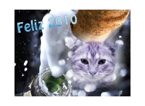 Moldura - Feliz 2010   Champagne