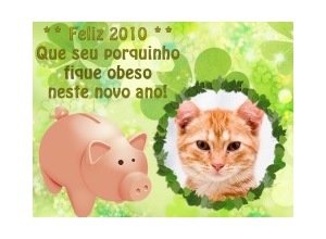 Moldura - Feliz 2010   Porquinho