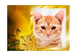 Moldura - Bouquet Amarelo