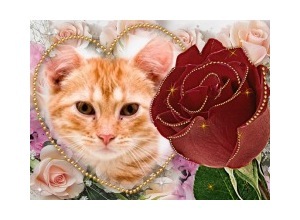 Moldura - Rosa E Coracao