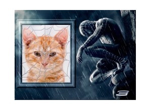 Moldura - Spiderman 3