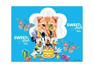 Moldura - Aniversario Disney