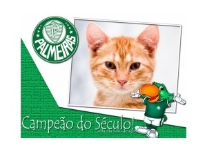 Moldura - Palmeiras Campeao
