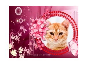 Moldura - Flores Rosas