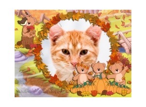 Moldura - Ursinhos Na Floresta