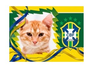 Moldura - Moldura Cbf