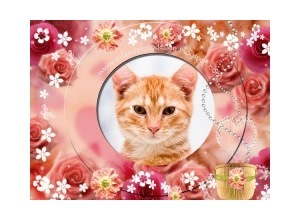 Moldura - Varias Flores