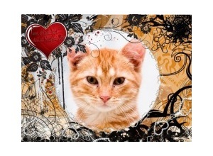 Moldura - Asbtrato E Coracao