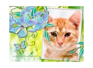 Moldura - Flores Azuis E Borboleta