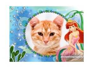 Moldura - Pequena Sereia