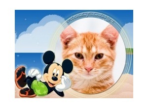 Moldura - Mickey Verao