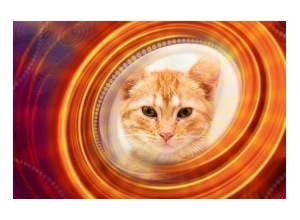 Moldura - Circulo Brilhante