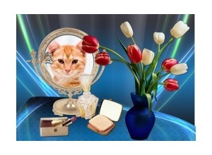 Moldura - Foto No Espelho