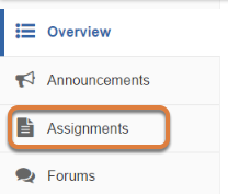 To access this tool, select Assignments in the Tool Menu of your site.